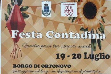 FESTA CONTADINA